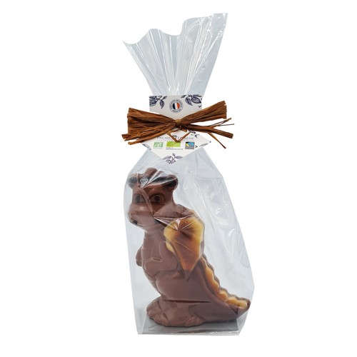 Bio Dragon lait 100g