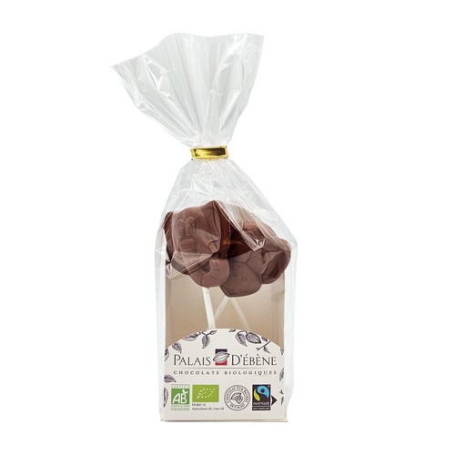 Bio Sucettes lait 60g