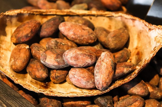 Terra roxa sàrl : Chocolats & cacao & confiserie